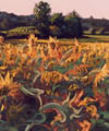 Plants: image 1 0f 4 thumb