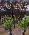 Plants: image 1 0f 4 thumb