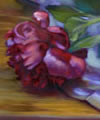Plants: image 1 0f 4 thumb